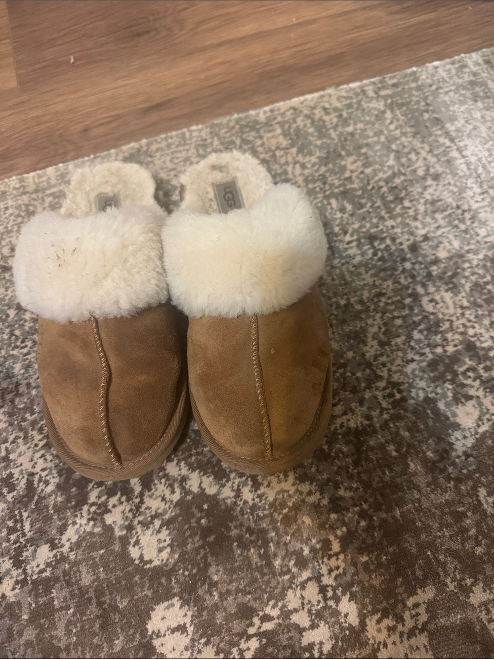 UGG® Disquette Platform Clog - Big Kid - Chestnut